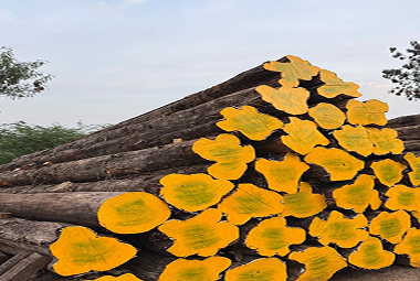 COSTA RICA TEAK WOOD